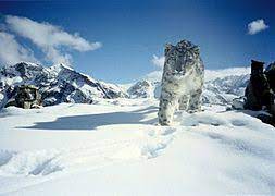 Famous Tourists spot/places of Ladakh